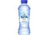 FLES SPA REINE 33CL PET