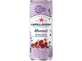 BLIK SAN PELLEGRINO MOMENTI GRANAAT BOSBES 33CL
