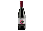 Gato Negro Syrah