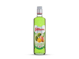 Filliers Jenever Cactus 70CL