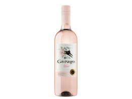Gato Negro Rose