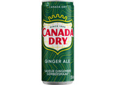 BLIK CANADA DRY 33 CL